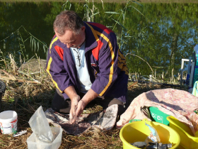 rdhsz_egyesuleti_csb_2019_67