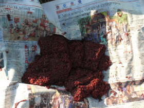 rdhsz_egyesuleti_csb_2019_72