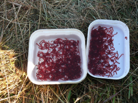 rdhsz_egyesuleti_csb_2019_75