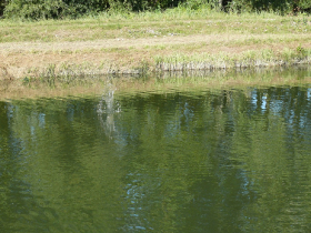 rdhsz_egyesuleti_csb_2019_77