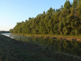 rdhsz_egyesuleti_csb_2019_81