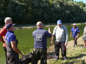 rdhsz_egyesuleti_csb_2019_8