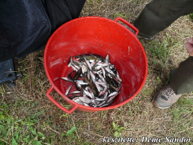 egyesuleti_csapatbajnoksag_2021_11