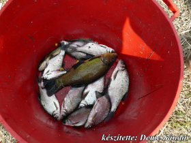 egyesuleti_csapatbajnoksag_2021_20