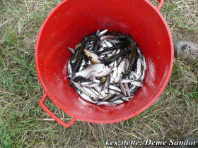 egyesuleti_csapatbajnoksag_2021_22