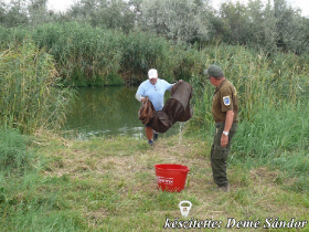 egyesuleti_csapatbajnoksag_2021_23