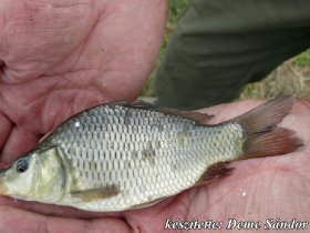 egyesuleti_csapatbajnoksag_2021_25