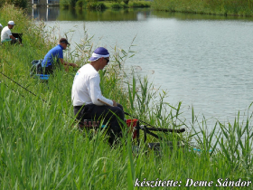 egyesuleti_csapatbajnoksag_2021_50