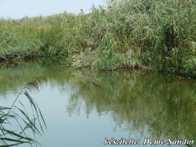 egyesuleti_csapatbajnoksag_2021_83