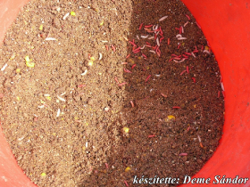 egyesuleti_csapatbajnoksag_2021_88