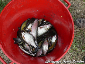 egyesuleti_csapatbajnoksag_2021_9