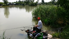 rdhsz_feeder_csb_2016-10