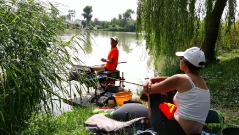 rdhsz_feeder_csb_2016-11