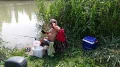 rdhsz_feeder_csb_2016-12