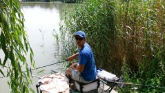 rdhsz_feeder_csb_2016-13