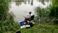 rdhsz_feeder_csb_2016-14