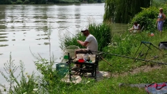 rdhsz_feeder_csb_2016-16