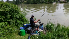 rdhsz_feeder_csb_2016-17