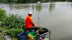 rdhsz_feeder_csb_2016-19