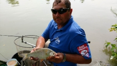 rdhsz_feeder_csb_2016-22