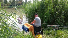 rdhsz_feeder_csb_2016-23