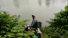 rdhsz_feeder_csb_2016-26