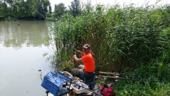 rdhsz_feeder_csb_2016-2