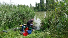 rdhsz_feeder_csb_2016-34