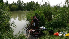 rdhsz_feeder_csb_2016-38