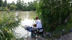 rdhsz_feeder_csb_2016-39