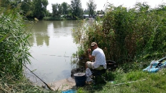 rdhsz_feeder_csb_2016-3