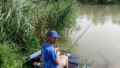 rdhsz_feeder_csb_2016-4