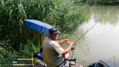 rdhsz_feeder_csb_2016-6