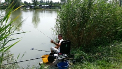 rdhsz_feeder_csb_2016-7