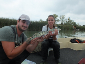 rdhsz_pergeto_versenyek_2019_2