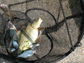 szovetsegi_csapatbajnoksag_2021_13