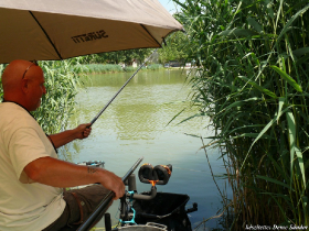 szovetsegi_csapatbajnoksag_2021_28