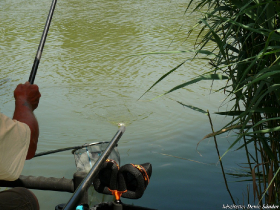 szovetsegi_csapatbajnoksag_2021_29