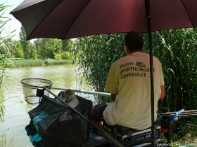 szovetsegi_csapatbajnoksag_2021_2