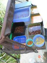 szovetsegi_csapatbajnoksag_2021_30