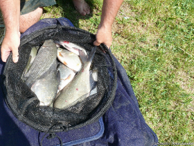 szovetsegi_csapatbajnoksag_2021_59