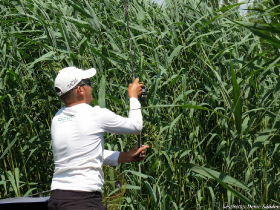 szovetsegi_csapatbajnoksag_2021_67