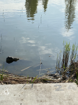 egyeni_bajnoksag_2021_38