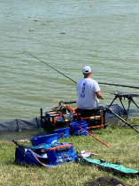 Tagszövetségek Csapatainak Országos Bajnoksága - Szeged, 2021.07.31-08.01.