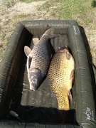 rsd_carp_cup_2017-103