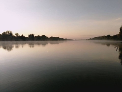 rsd_carp_cup_2017-144