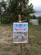 rsd_carp_cup_2017-17