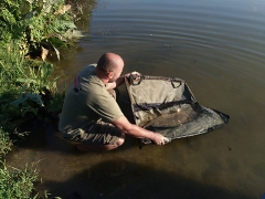 rsd_carp_cup_2017-20