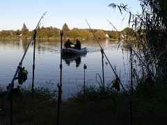 rsd_carp_cup_2017-29