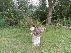 rsd_carp_cup_2017-48